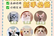 第一次养猫，需要购买什么手续？（为了给您的新猫咪提供最好的护理，了解养猫所需的手续是关键）
