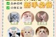 第一次养猫，需要购买什么手续？（为了给您的新猫咪提供最好的护理，了解养猫所需的手续是关键）