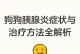 狗狗胰腺发炎的症状及治疗方法（了解狗狗胰腺发炎的常见症状和有效的治疗方法）