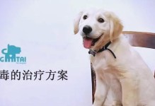 预防冠状病毒的关键措施，守护狗狗健康（解析狗狗面临的第三大疾病——冠状病毒，有效预防保护是关键）