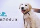 预防冠状病毒的关键措施，守护狗狗健康（解析狗狗面临的第三大疾病——冠状病毒，有效预防保护是关键）