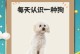 贵宾犬的适宜饮食频率（探究贵宾犬饮食频率对健康的影响与建议）