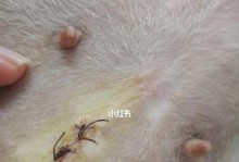 狗狗手术后的恢复期有多长？（了解狗狗手术后的疼痛和恢复过程）
