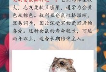 大型仓鼠（探索大型仓鼠的多样性及其独特品质）
