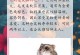 大型仓鼠（探索大型仓鼠的多样性及其独特品质）