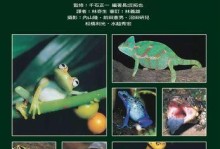《灯鱼的理想水草之选》（为灯鱼打造完美栖息环境的水草推荐与养护方法）