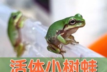 蓝眼鲫的饲养方法详解（如何让蓝眼鲫健康成长？）