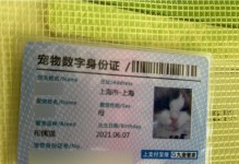 探索猫咪证书的奥秘（猫咪证书的类型、目的和认证要求）