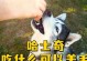 哈士奇小狗的饮食需求（了解哈士奇幼犬的主要饮食需求，让它健康成长）