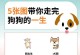 刚出生的小狗的成长奇遇记（探索小狗成长的奇妙旅程，）