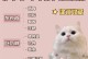 猫的生死攸关（猫咪食物禁忌一览表）