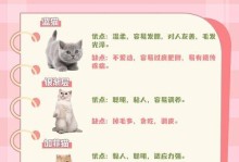 美短猫的缺点及注意事项（了解美短猫的弱点，让它们健康快乐生活）