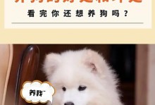 为什么养狗要选择牌子？（选择牌子的好处及如何选择合适的狗粮品牌）