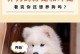 为什么养狗要选择牌子？（选择牌子的好处及如何选择合适的狗粮品牌）