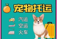 一月狗空运的全程安排（顺利、安全、舒适，这是每一只宠物狗空运的保障）