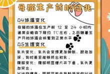 母猫的第一胎生产时间（探讨母猫首次产仔的生产周期及相关知识）