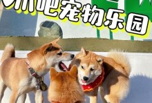 北京狗狗公园（探索品牌世界，领略狗狗乐园魅力）
