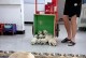 母狗产后排便时间及习惯（了解狗妈妈产后排便的时间和规律，关注她的健康与舒适）