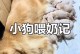 小狗的喂养频率与奶水给予（探讨小狗喂养的最佳时间间隔和奶水摄入量）