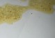 小猫为什么不吃饭呕吐？（探究小猫不吃饭呕吐的原因及应对措施）