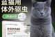 美短猫的驱虫周期及重要性（建议每年至少两次进行驱虫，保护宠物的健康）