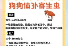 狗狗体内虫的驱除时机与方法（掌握驱虫频率，保障宠物健康）