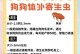 狗狗体内虫的驱除时机与方法（掌握驱虫频率，保障宠物健康）