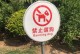 找到最适合遛狗的时间，让你和宠物更快乐（探寻适合遛狗的时间段，为你的宠物带来健康与欢乐）