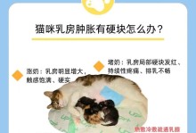幼猫自主喝奶的时机与方法（从何时开始喝奶到如何自主喝奶，了解幼猫成长的重要阶段）