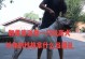 杜高犬（探索杜高犬的魅力与优势，让你爱不释手）