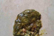 狗狗发烧便血，用什么药好得快？（快速缓解狗狗发烧便血的药物及注意事项）