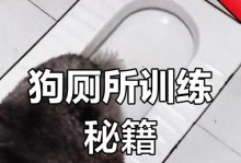 训练狗狗大小便的简单步骤（养成良好大小便习惯，让你的狗狗更干净、舒适）