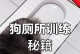 训练狗狗大小便的简单步骤（养成良好大小便习惯，让你的狗狗更干净、舒适）