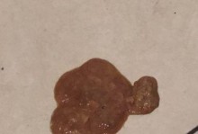 哈士奇吐黄水拉稀，该如何用药治疗？（解决哈士奇消化问题的有效药物及注意事项）