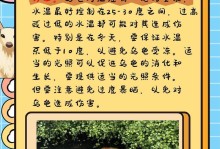 龟的饮食与生长（以给龟吃什么长为主题的饮食指南）