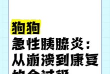 狗狗胰腺炎禁水多久才能好？（胰腺炎禁水时需注意的关键点）