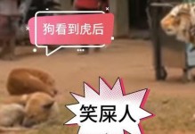 狗狗不小心失禁，这是怎么回事？（以狗狗夹不住屎_狗狗憋不住屎为主题的探讨）
