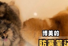 夏季美食指南（为了宠爱你的博美犬，让我们一起探索夏季最适合它们的美味吧！）