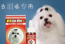 揭秘博美犬泪痕问题的真相（探究博美犬泪痕成因与解决方法）