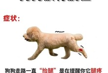 狗狗的正常生理指标（了解狗狗生理指标的重要性）