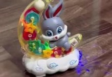 兔子玩具的选择与制作方法（为你的兔子提供快乐与刺激的玩具）
