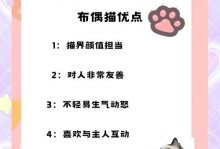 养布偶猫的7大“雷区”（了解这些雷区，让你成为贴心的布偶猫主人！）
