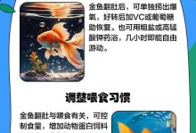 金鱼的饥饿生存期及其养殖注意事项（金鱼饥饿致死周期及如何正确喂养金鱼）
