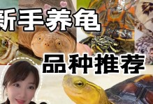 哪些陆龟最适合养？（选择适合你的长寿宠物伙伴）