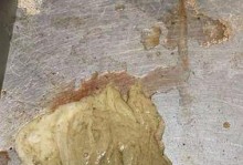 细小感染源（揭秘细小感染源的主要来源和传播途径）