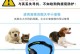 狗狗回家（以定位为基础，让迷路的狗狗尽快回到家园）