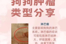 狗狗肠胃肿瘤症状详解（探寻狗狗肠胃肿瘤症状的种类和表现）