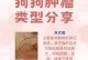 狗狗肠胃肿瘤症状详解（探寻狗狗肠胃肿瘤症状的种类和表现）