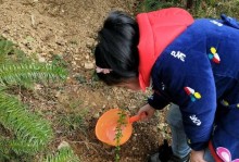 成长需要时机（探讨成长的关键时刻及重要影响因素）