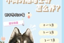 养一只哈士奇的饲养成本究竟需要多少钱？（详细分析哈士奇饲养过程中的各项费用）